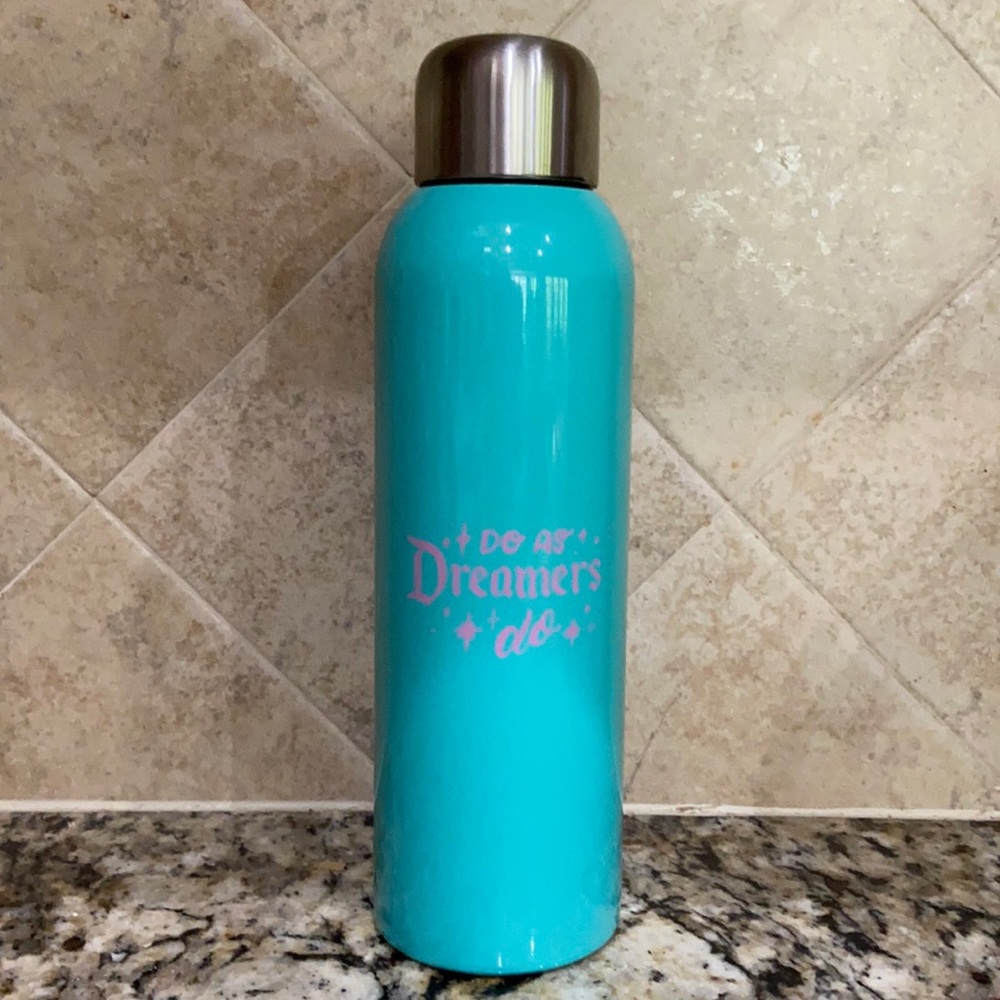 Disney inspired stainless steel water bottle